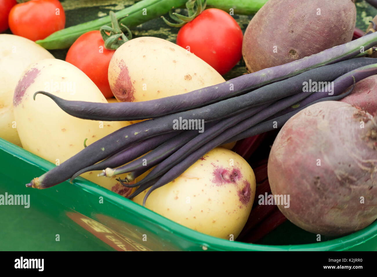 Nahaufnahme von rohem Gemüse aus Gemüse England Großbritannien GB Großbritannien Stockfoto