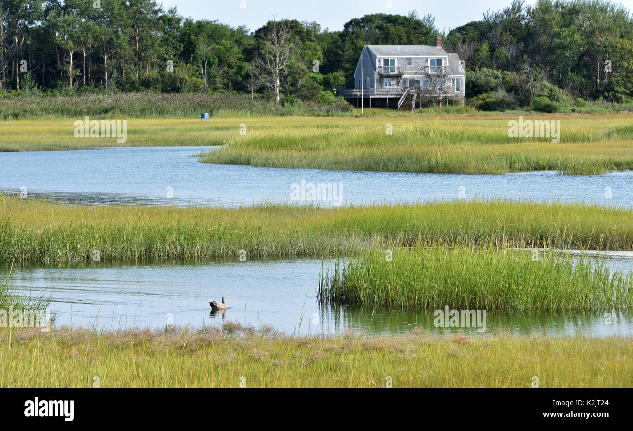 Ein Haus auf dem Sumpf - Bass Bohrung - Yarmouthport, Massachusetts (Cape Cod) Stockfoto