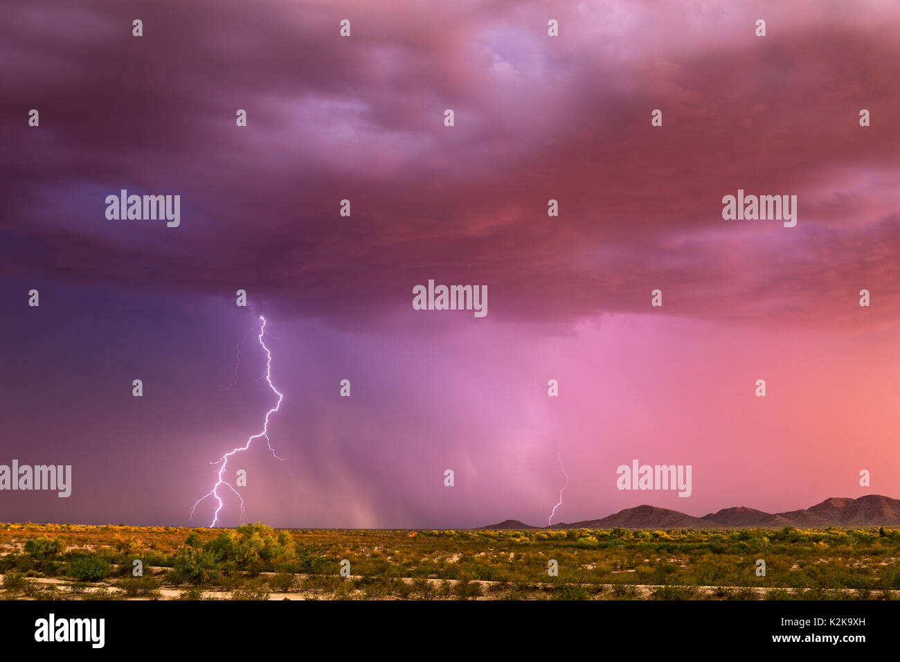 Monsun Gewitter und Blitzschlag bei Sonnenuntergang in der Nähe von Gila Bend, Kansas Stockfoto