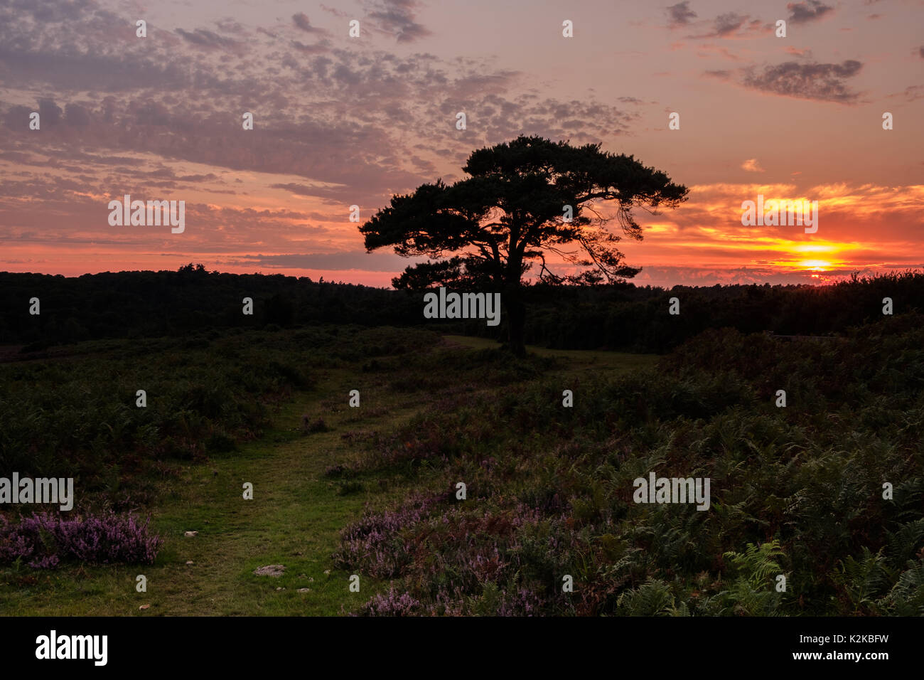 Fading Light bei Bratley anzeigen Stockfoto