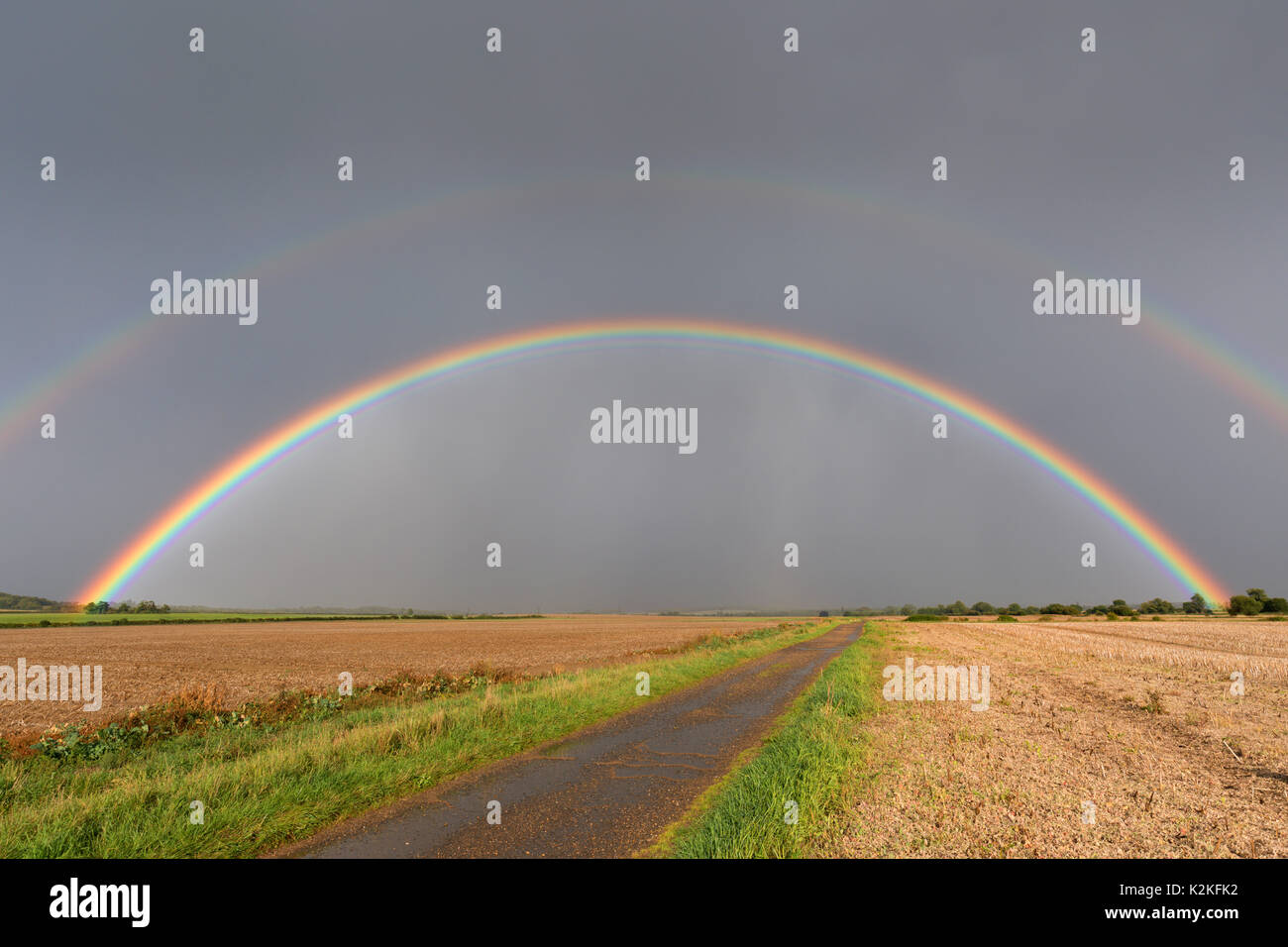 Stapleford, Cambridge, UK. 31. August 2017. Double Rainbow über Felder in Cambridgeshire. Nach starkem Regen ein Regenbogen leuchtet der Himmel. Keith Taylor/Alamy leben Nachrichten Stockfoto