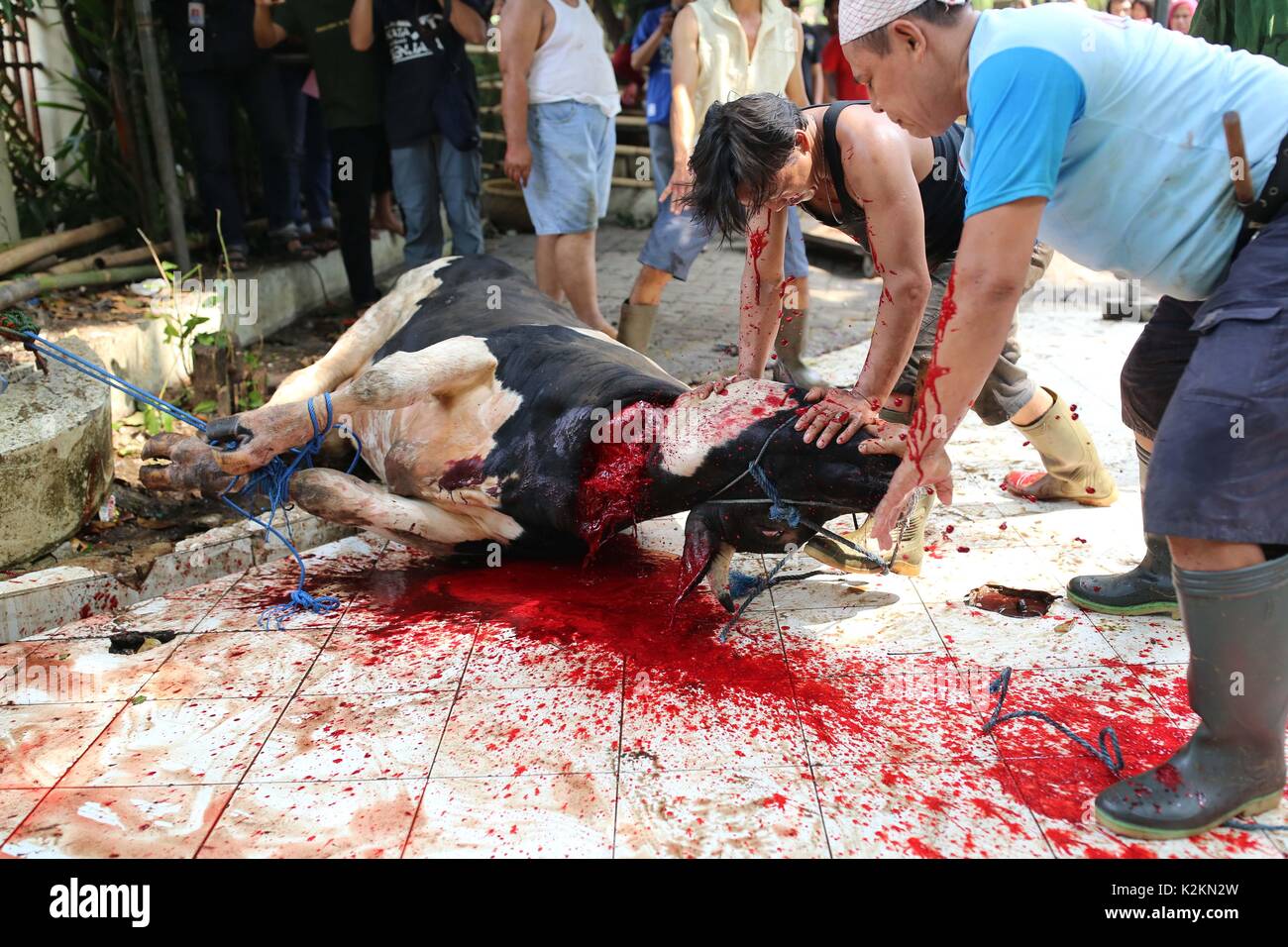 Jakarta, Indonesien. 1. Sep 2017. . Indonesischen Muslime 
