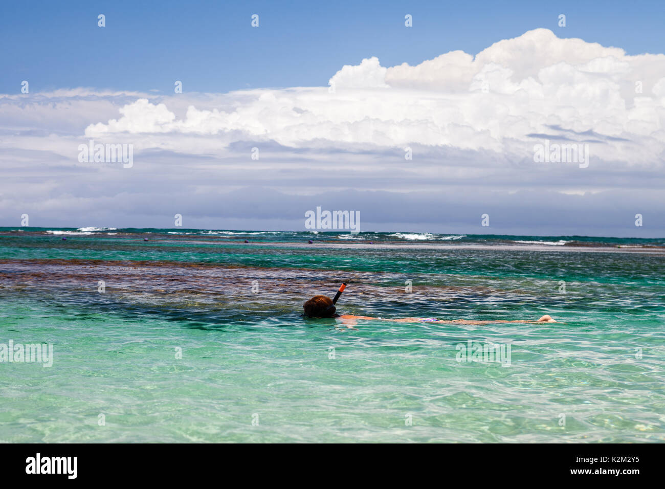 Schwimmen in einem tropischen Strand Stockfoto
