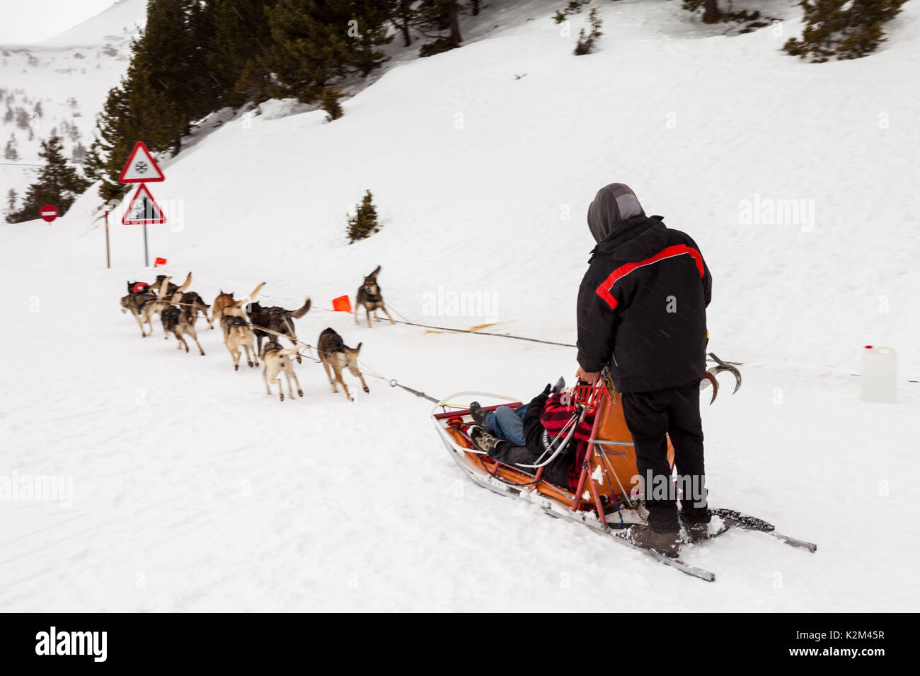 Mushing, trineo Tirado por Perros de Andorra - durch machbel Stockfoto