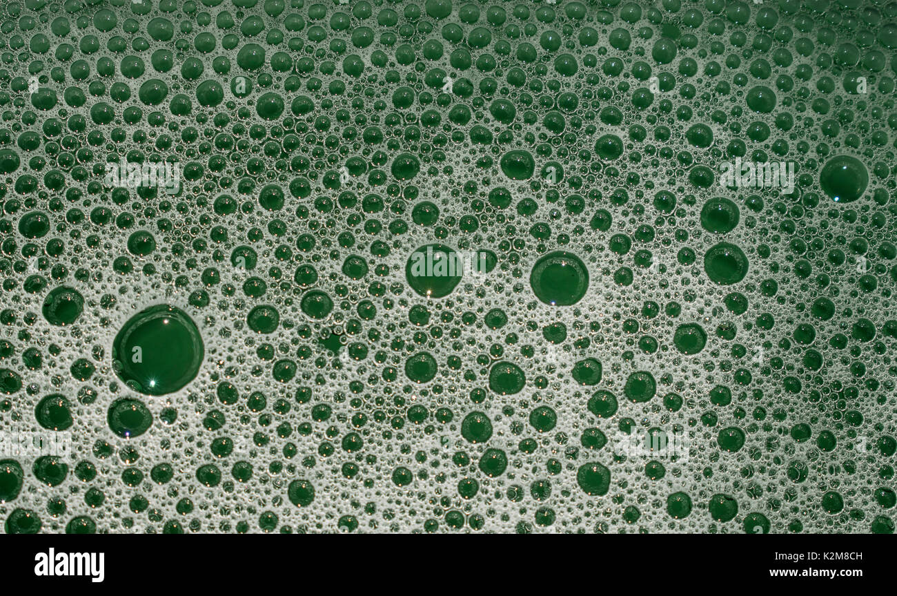 Grünen blasen und Schaum, Textur und Muster von Reinigungsmittel, closeup Makro Stockfoto