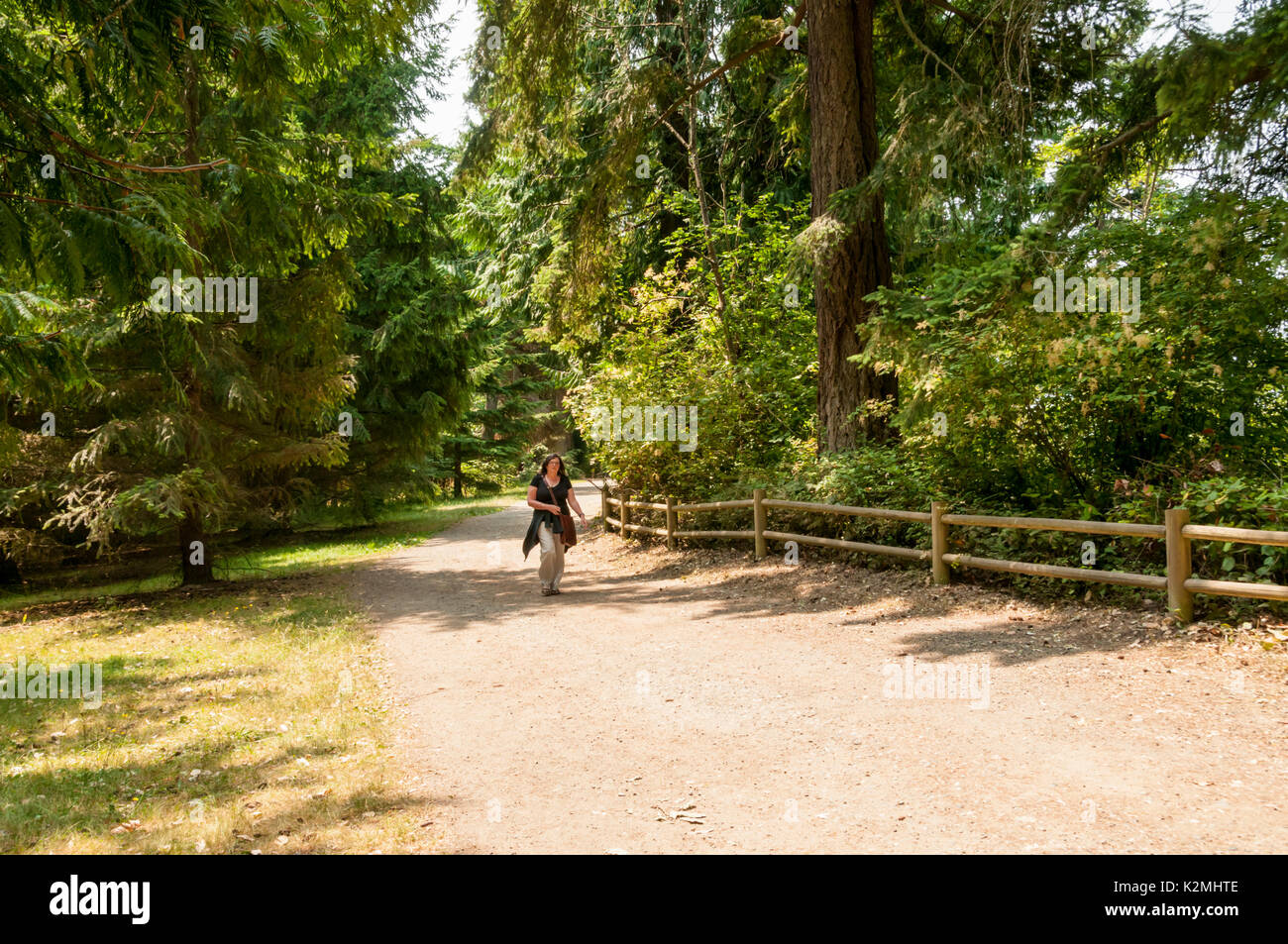 Eine Frau zu Fuß durch einen der Pfade des Lincoln Park in West Seattle. Stockfoto