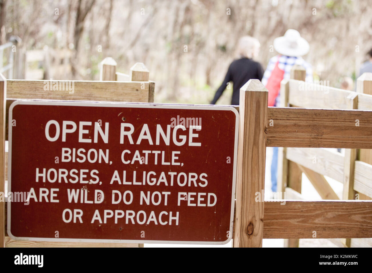 Paynes Prairie Preserve Stockfoto