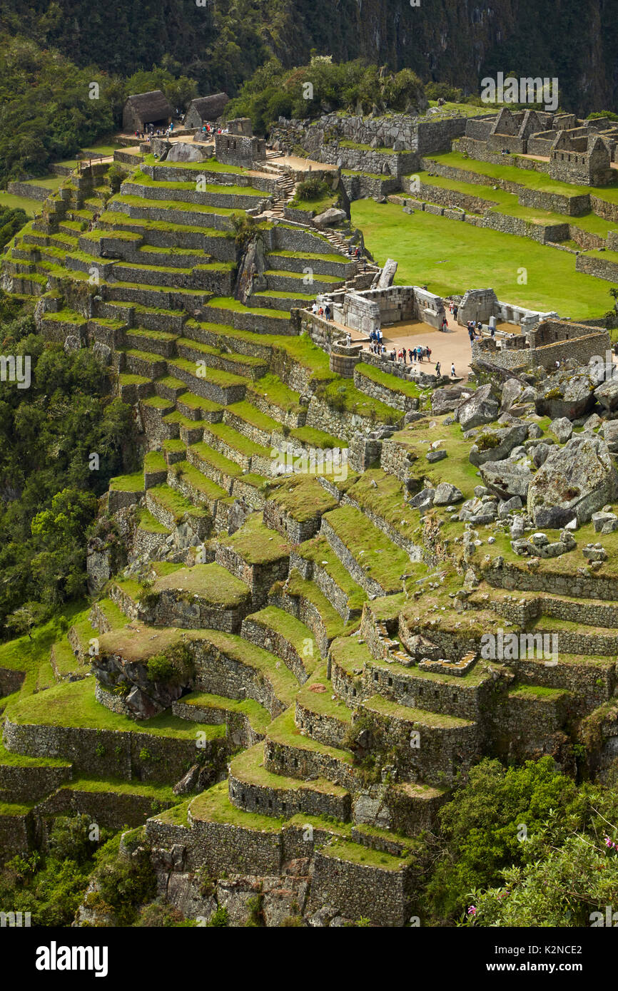 Landwirtschaftlichen Terrassen, Machu Picchu (Weltkulturerbe), das Heilige Tal, Peru, Südamerika Stockfoto