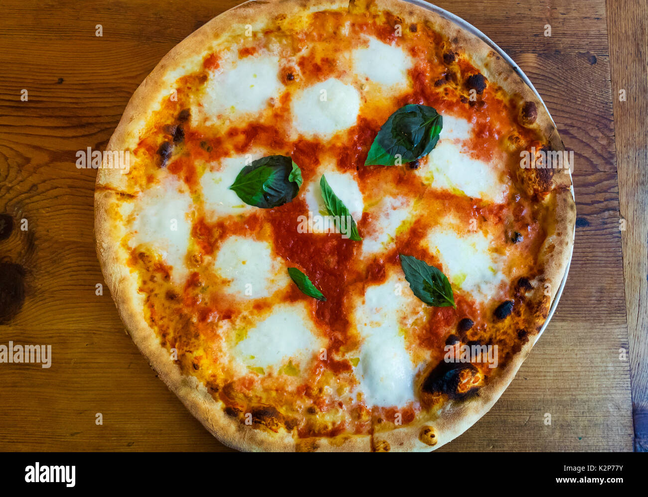 Pizza Margherita, mit Tomaten, Basilikum und Mozzarella-Käse, ein neapolitanischer Klassiker Stockfoto