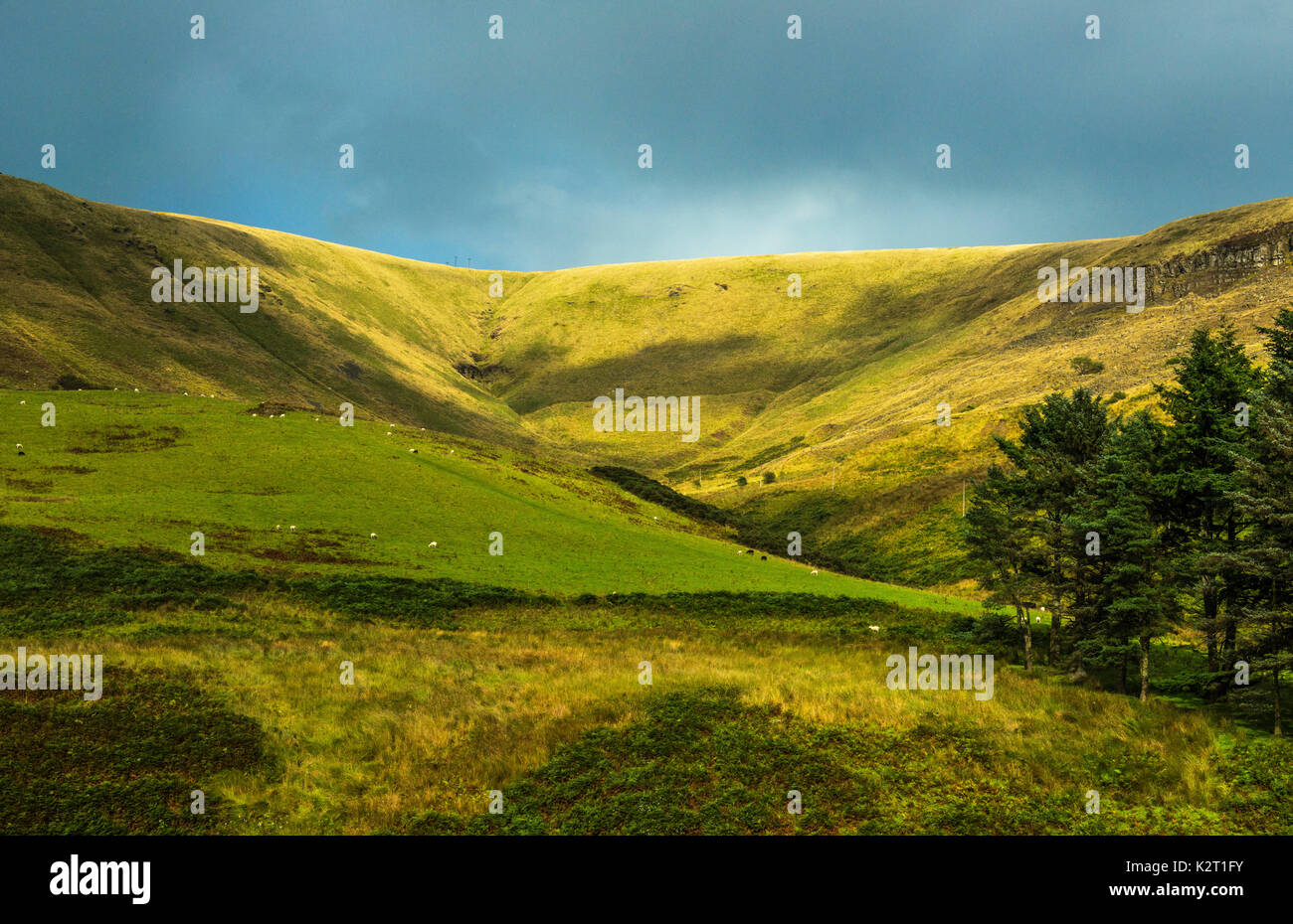 Der Leiter des Garw Valley in South Wales, einem abgelegenen und wilden Gegend. Stockfoto