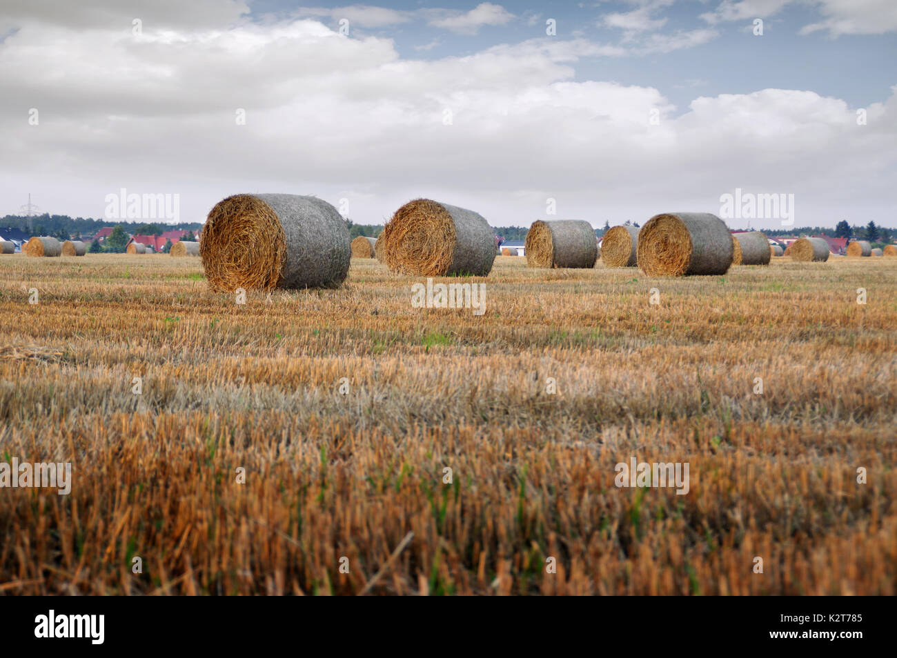 Trockenes Heu Ballen nach dem Mähen auf Feld mit Dorf im Hintergrund Stockfoto