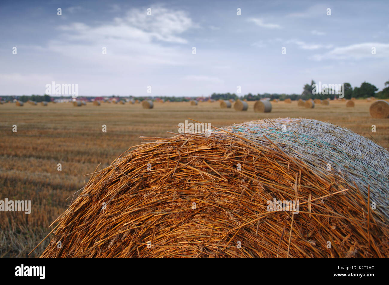 Trockenes Heu Ballen nach dem Mähen auf Feld mit Dorf im Hintergrund Stockfoto