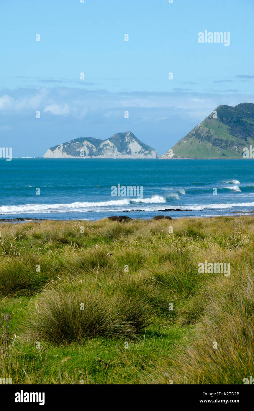 East Island, East Cape, North Island, Neuseeland Stockfoto