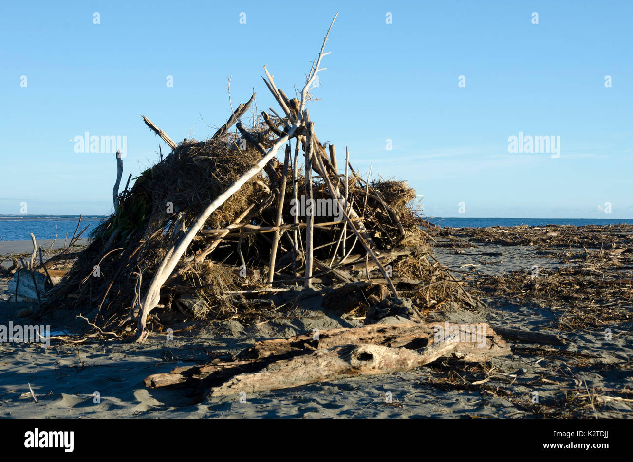 Treibholz am Strand von Ohiwa, in der Nähe von Opotiki, Bay of Plenty, North Island, Neuseeland Stockfoto