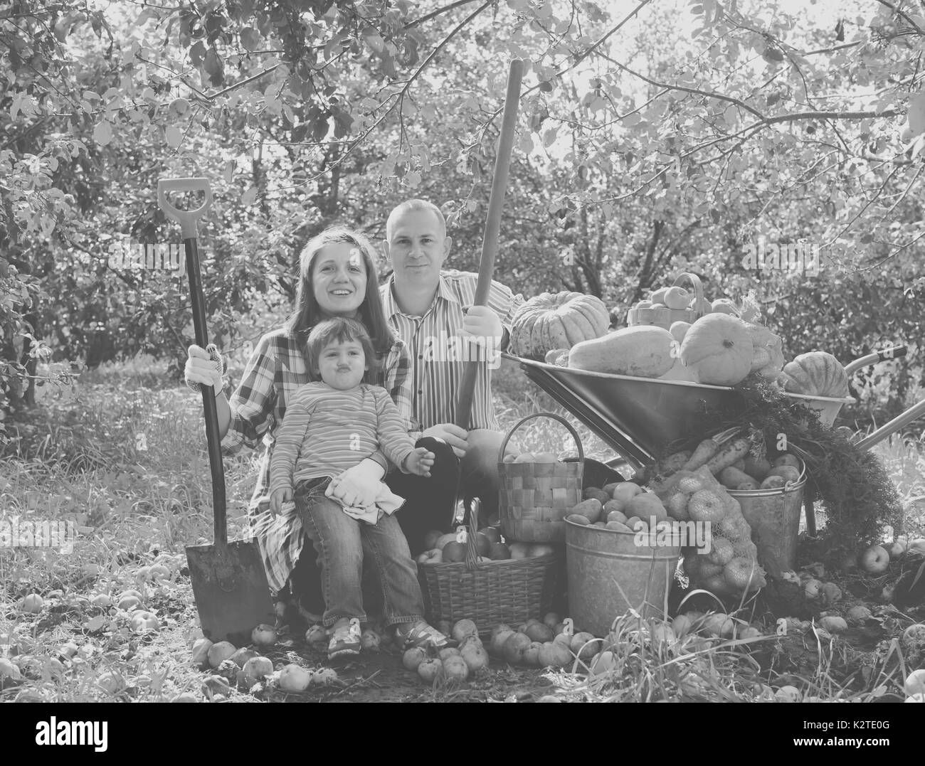 Glückliche Eltern und Kind mit geernteten Gemüse im Garten Stockfoto