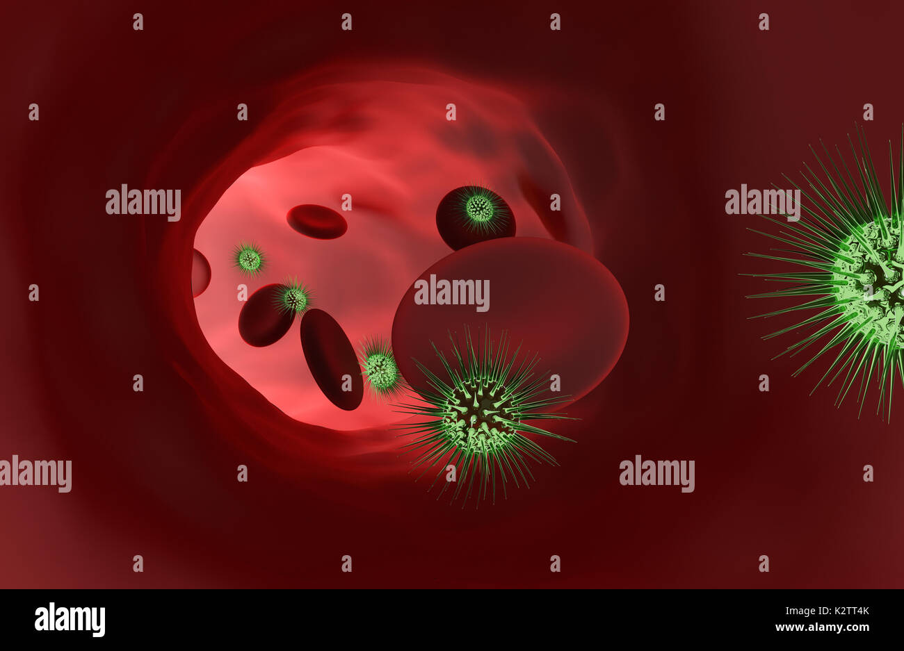Bakterien mit roten Blutkörperchen. 3D-Rendering Stockfoto
