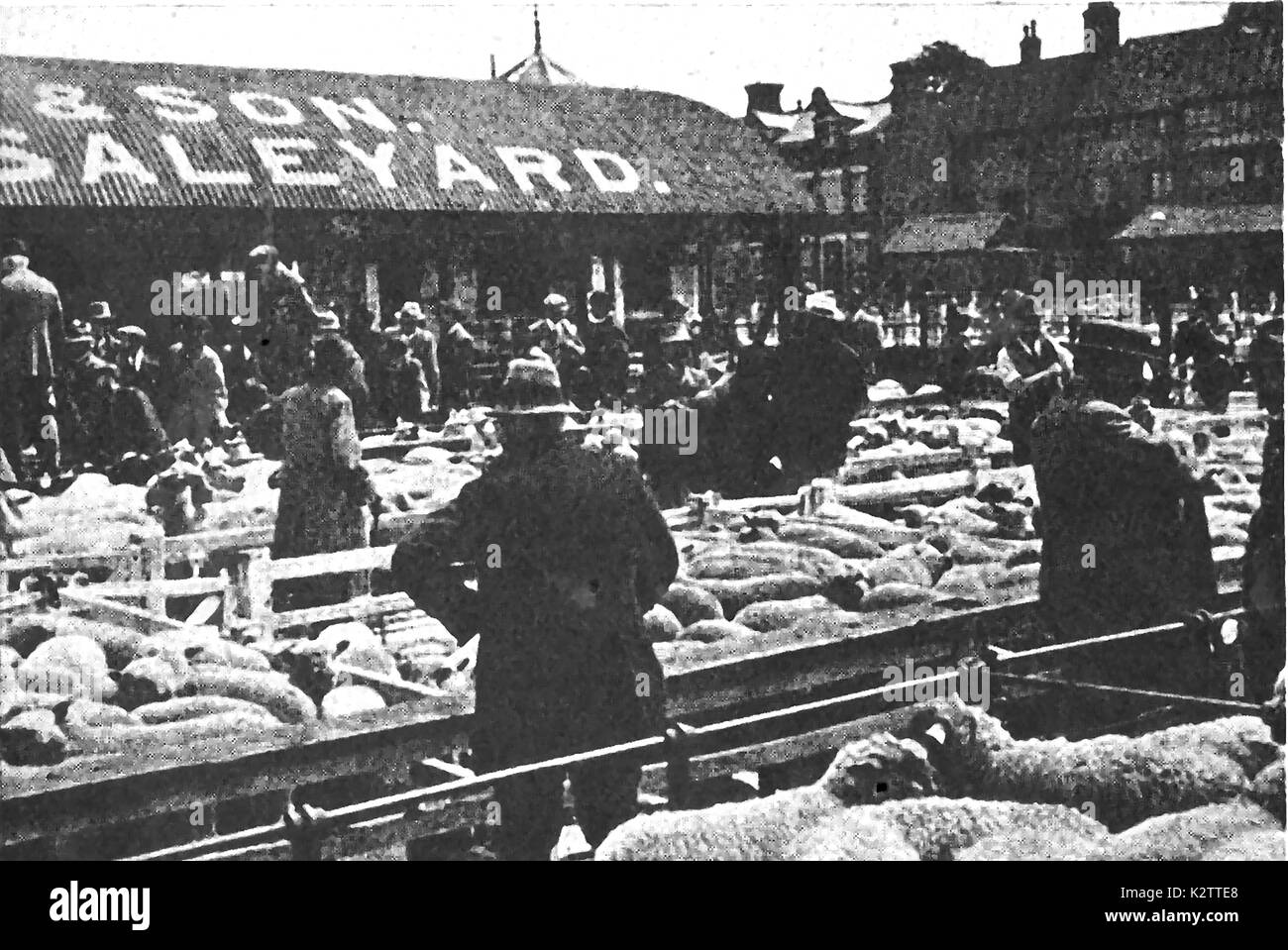Eine Zeitung Foto von Colchester (UK), den Landwirten die Viehfütterung Markt in den 1940er Jahren Stockfoto