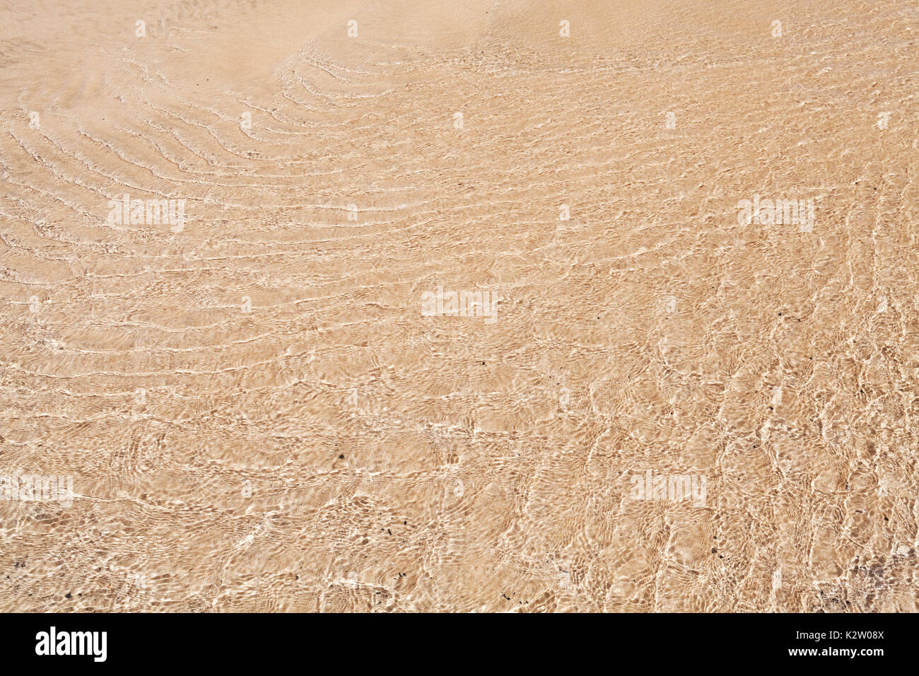 Atlantik küste Hintergrund Textur, Sand unter flachen Wasser Welligkeit Stockfoto