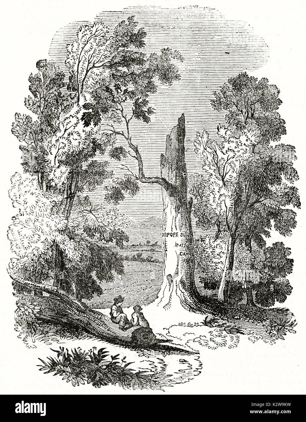 Alte Abbildung des Papstes Baum in Binfield Berks, Großbritannien. Von unbekannter Autor, auf Penny Magazine, London, 1835 veröffentlicht. Stockfoto