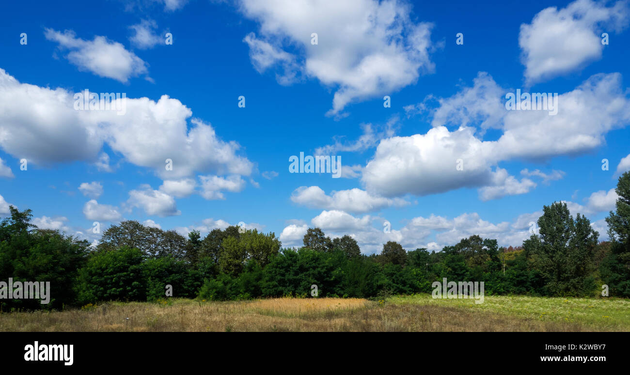 Ländliche Landschaft mit blauer Himmel mit Wolken Stockfoto