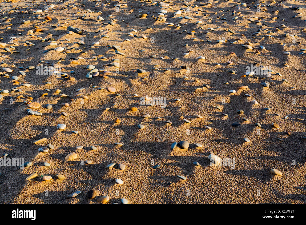 Der Strand am Punkt verschmähen, Yorkshire. Stockfoto