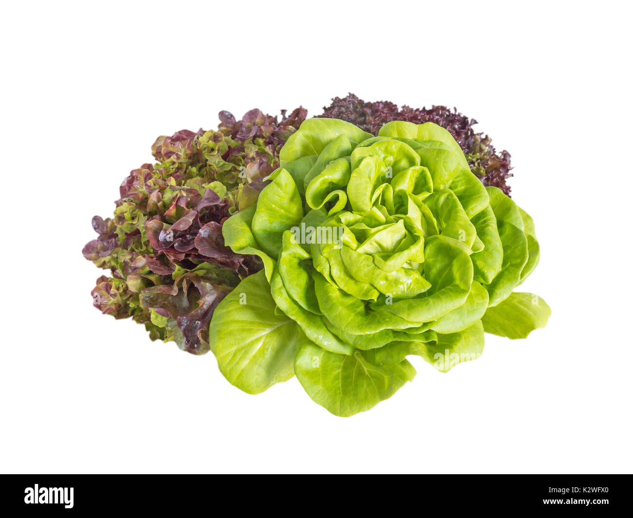 Bündel von grünen und roten Salat Salat isoliert auf weißem Stockfoto