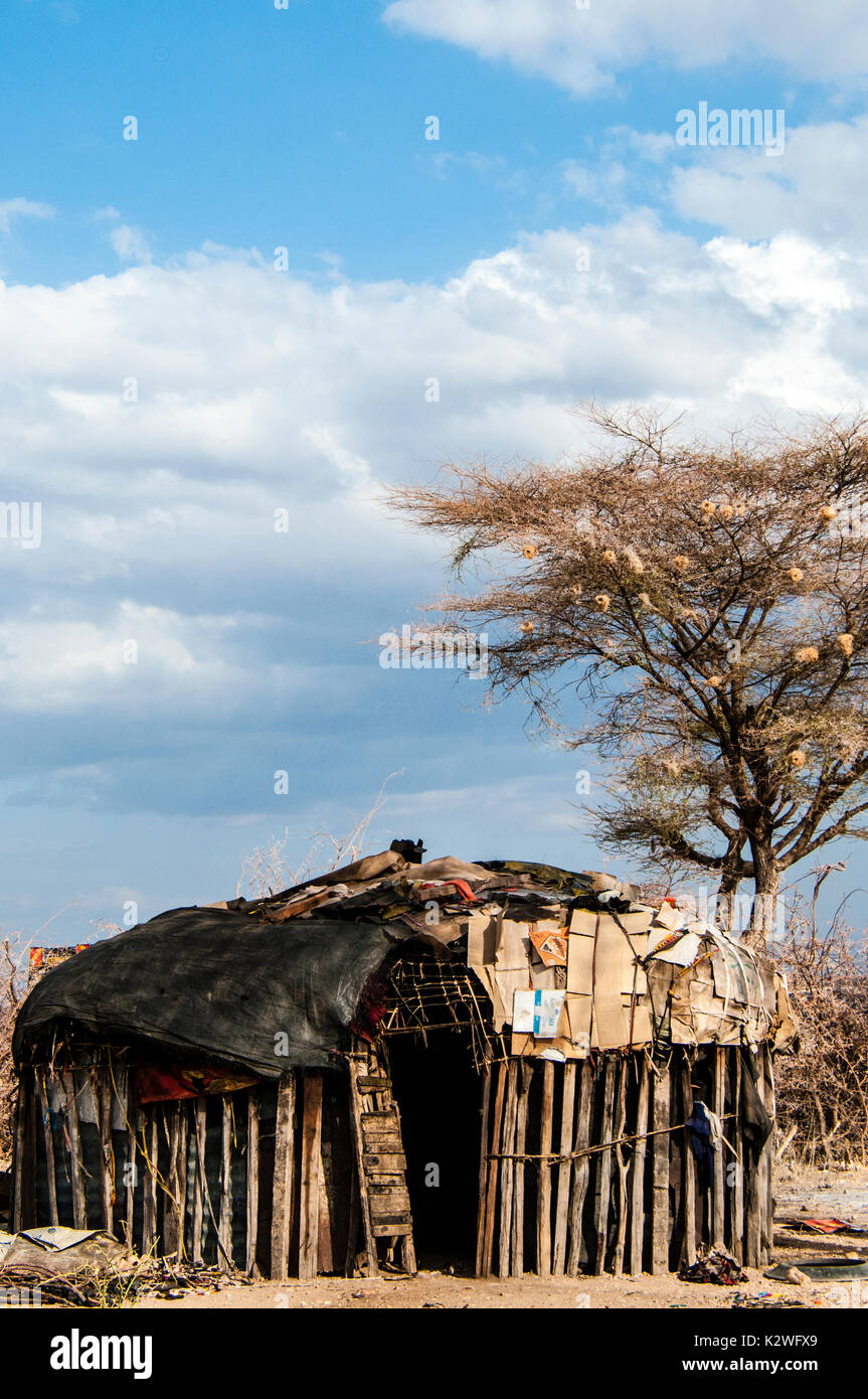Eine typische Hütte oder Manyatta von Samburu Masai in einem Samburu-Dorf in Nord-Kenia, Ostafrika, Samburu Hütte mit Kuhmist und Lehm gebaut. Stockfoto