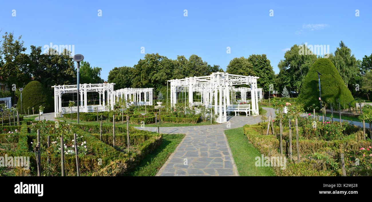 Stadt Timisoara Rumänien Rosen Park Garten Panorama Stockfoto