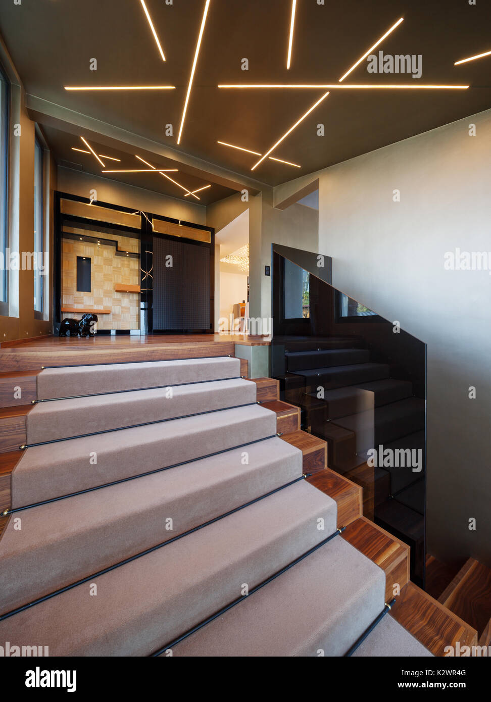 Moderne home Eingang, Treppen mit Glas Attika Stockfoto