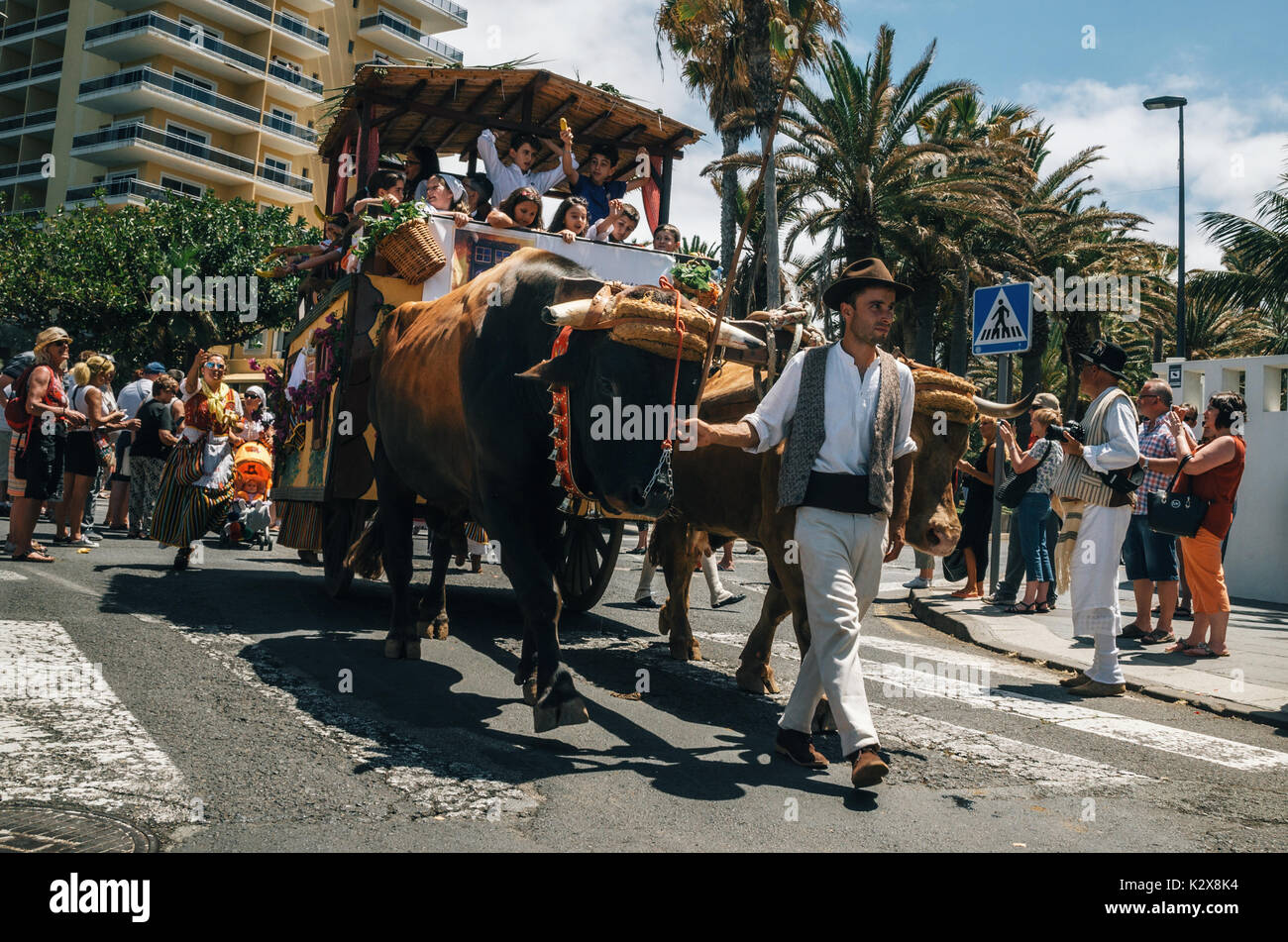 Puerto de la Cruz, Teneriffa, Kanarische Inseln, Spanien - 30. Mai 2017: Eingerichtet Stier gezogenen Wagen und Canarias Menschen in traditionellen Kleidung teilnehmen Ich Stockfoto