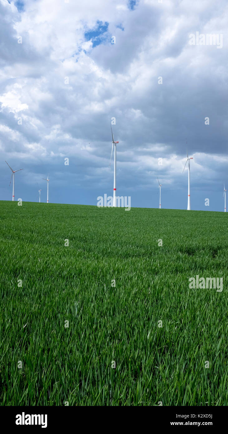 Windkraftanlagen in der Nähe von Bockenheim / Weinstraße, Rheinland-Pfalz, Deutschland Stockfoto