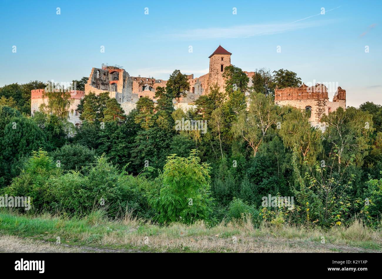 Schönen historischen Burgruine auf einem grünen Hügel. Ruinen der Burg Tenczyn in Rudno, Polen. Stockfoto