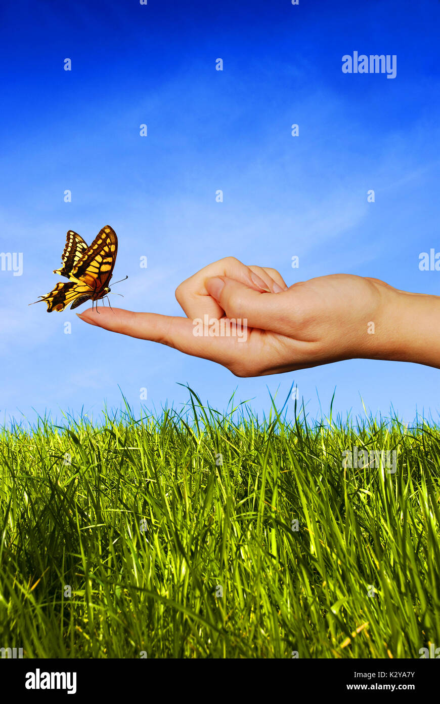 Schmetterling sitzt auf einer Frau Finger, Phantasie-Konzept Stockfoto
