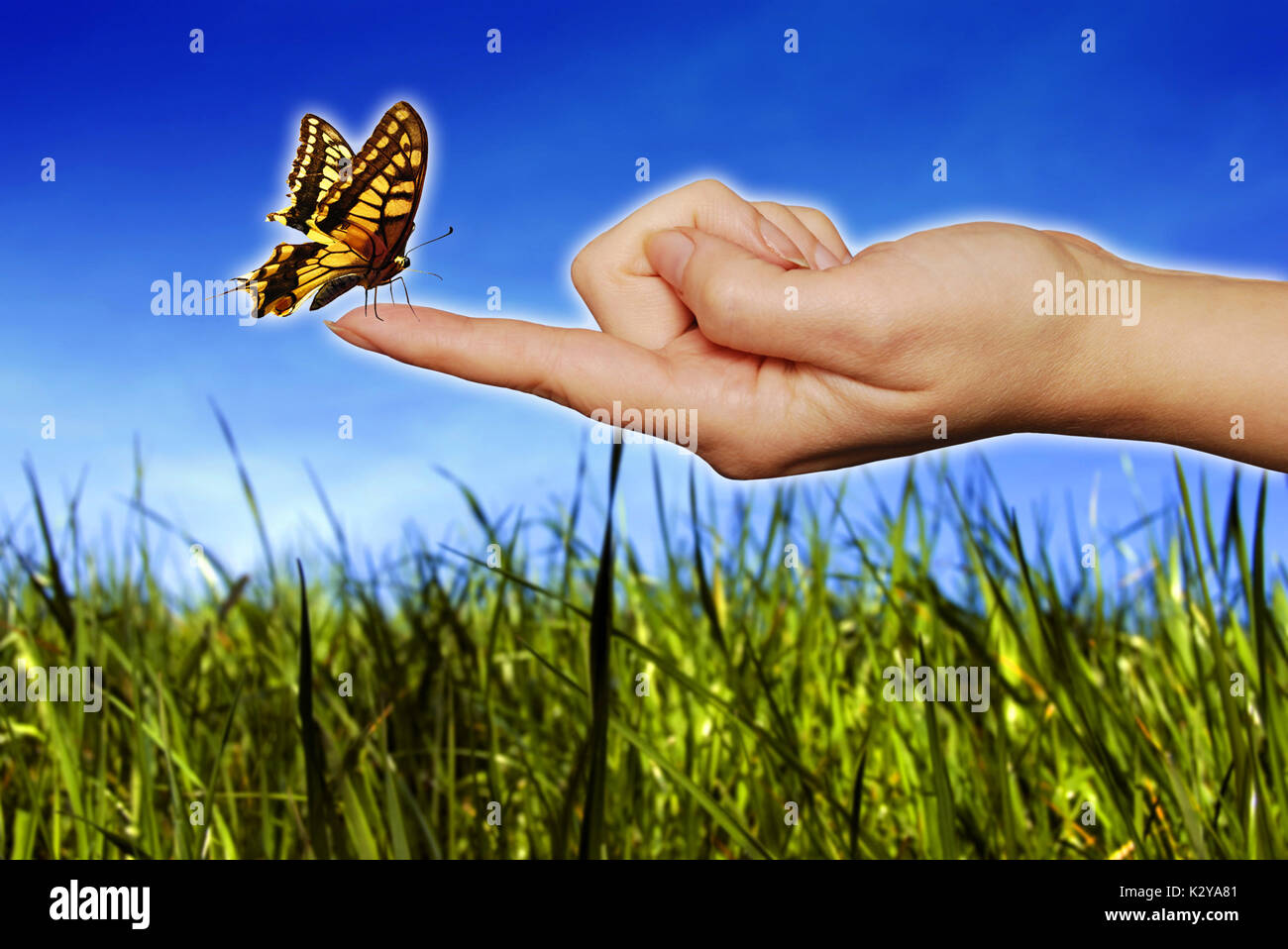 Schmetterling sitzt auf einer Frau Finger, Phantasie-Konzept Stockfoto