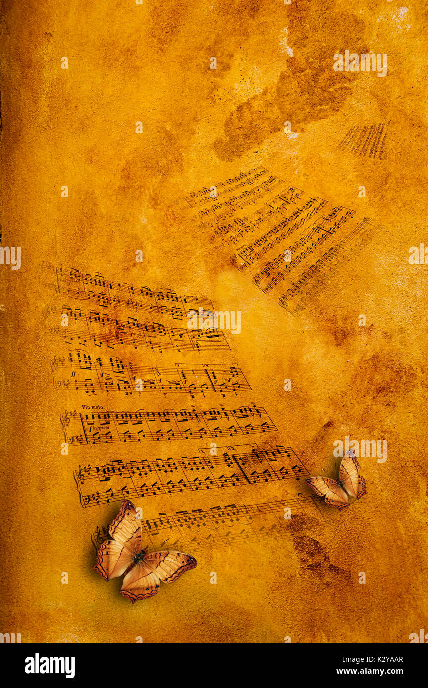 Schmetterlinge fliegen um Musik Blätter Stockfoto