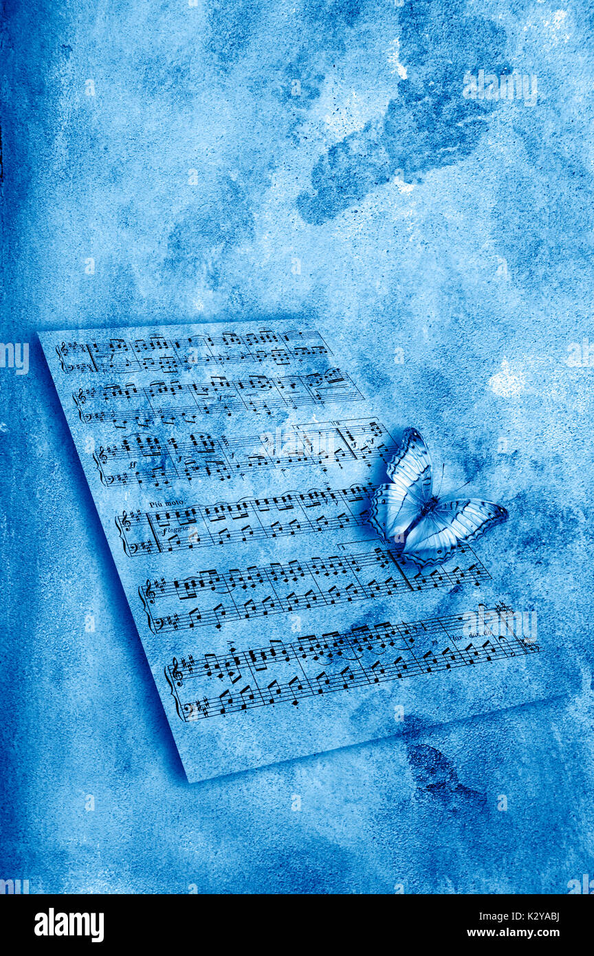 Schmetterling fliegen um ein Notenblatt Stockfoto