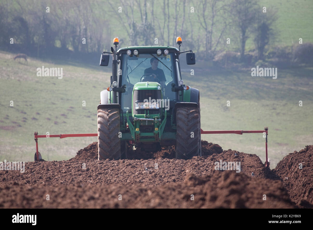 Vorbereitung und Pflanzung bio Kartoffeln Stockfoto