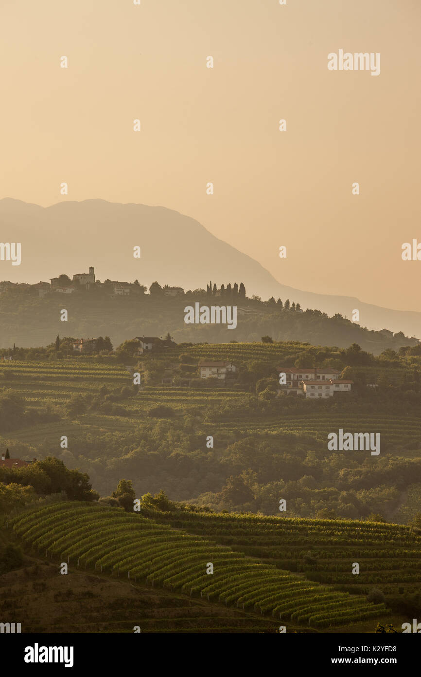 Goriška Brda ist ein großer Weinberg Region im Westen von Slowenien, nahe der Grenze zu Italien. Sie werden als slowenische Toskana und Wein namens Rebula bekannt. Stockfoto