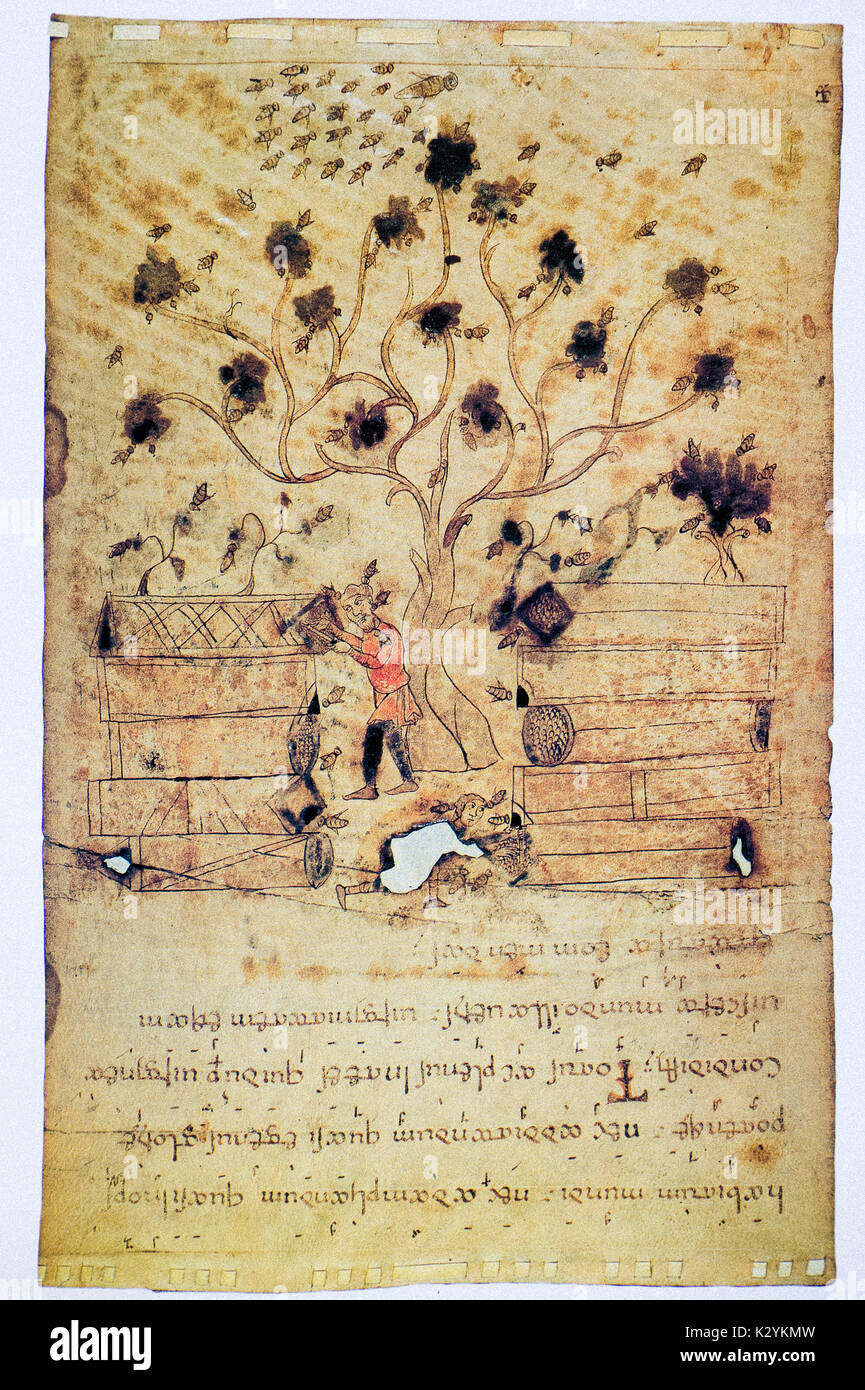 Exulet-XI-XIII Jahrhundert - Biene Szene als Symbol für die Jungfräulichkeit Mariens im Hintergrund einen Baum. Ein Schwarm von Bienen und zwei Bauern, Entlüften Stockfoto