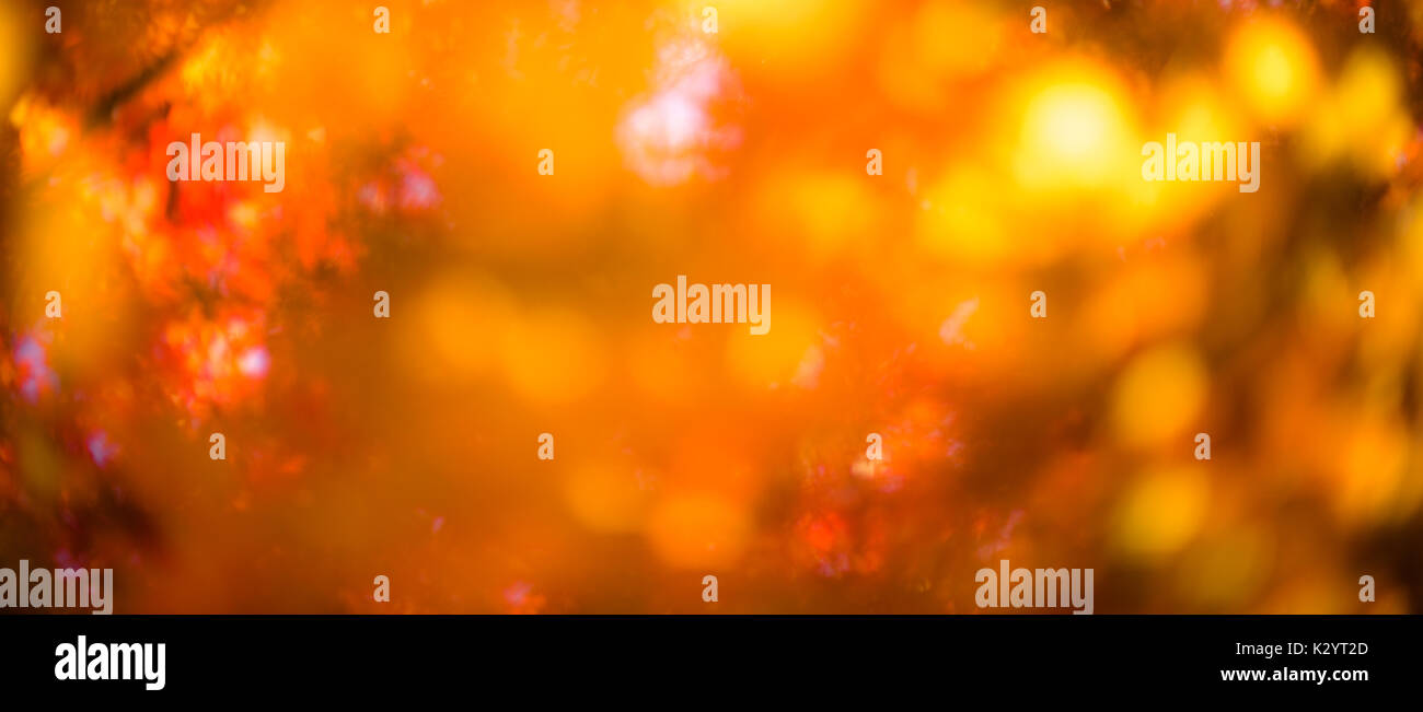 defokussierten Rotes Laub, perfekte Herbst Hintergrund Stockfoto