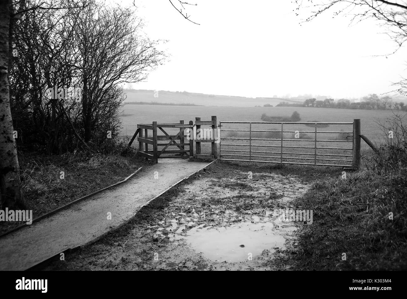 Cosmeston Country Park, Penarth. Stockfoto