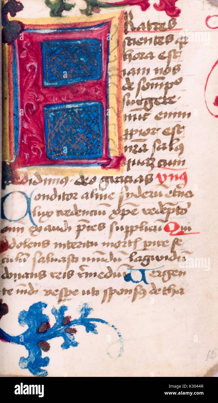 Bilderhandschrift Seite mit Text, der mit dem ersten Buchstaben beleuchtet und abstraktem Blütendessin, vom 15. bis 16. Jahrhundert Latein Buch, 1500. Stockfoto