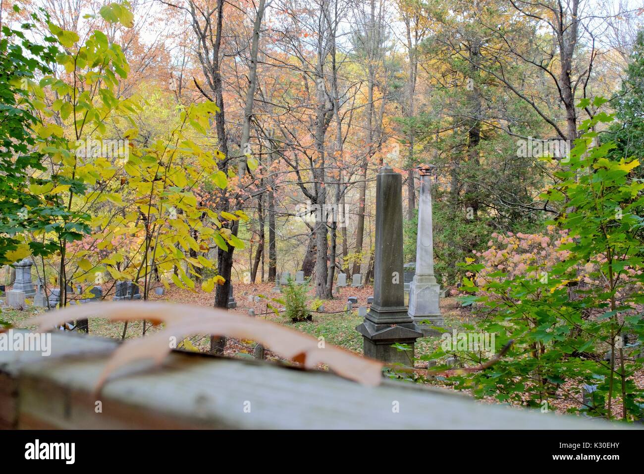 Wer wird sie sein? Stockfoto