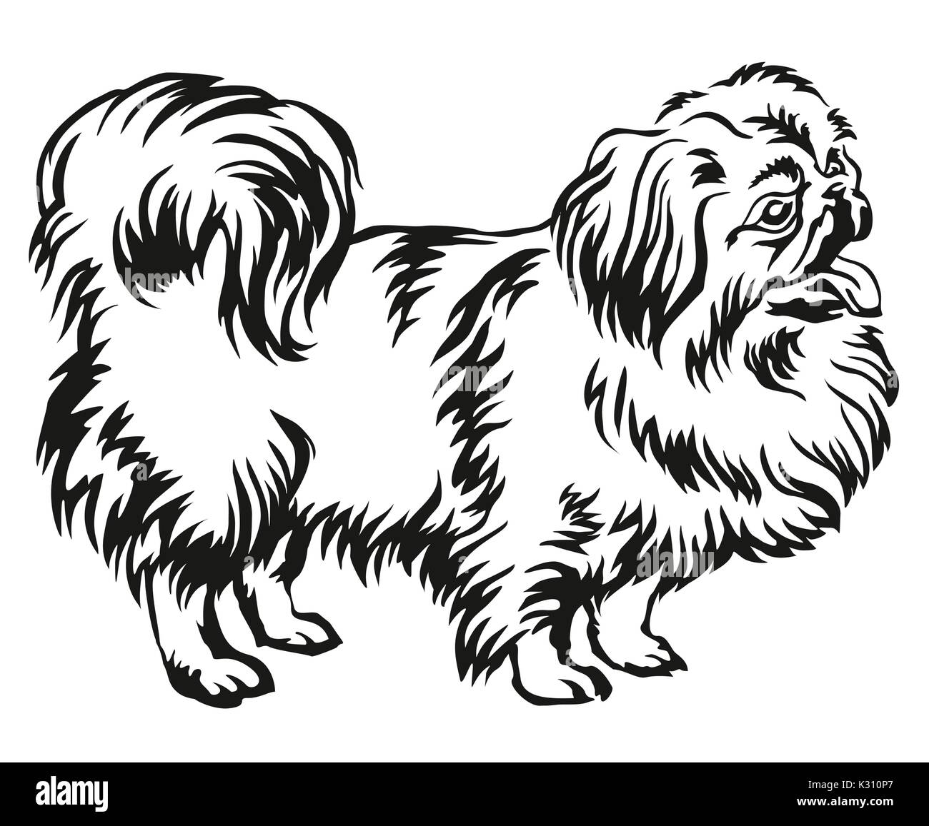 Dekorative Portrait von ständigen im Profil Pekingese, Vektor isoliert Abbildung in schwarz auf weißem Hintergrund Stock Vektor