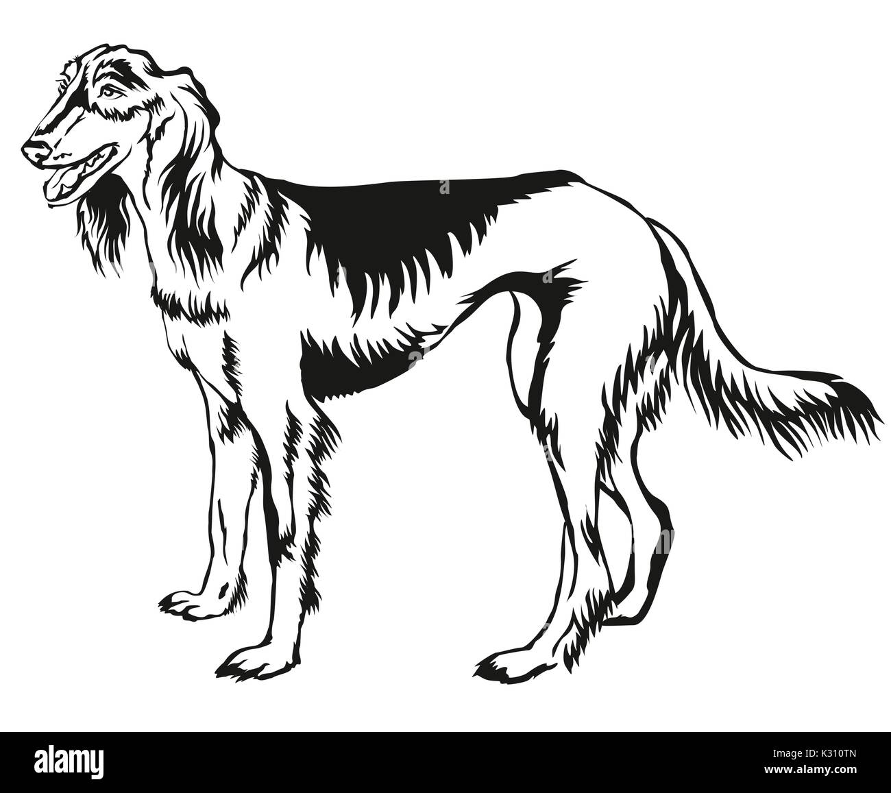 Dekorative Portrait von ständigen im Profil persischer Windhund (Saluki), Vektor isoliert Abbildung in schwarz auf weißem Hintergrund Stock Vektor
