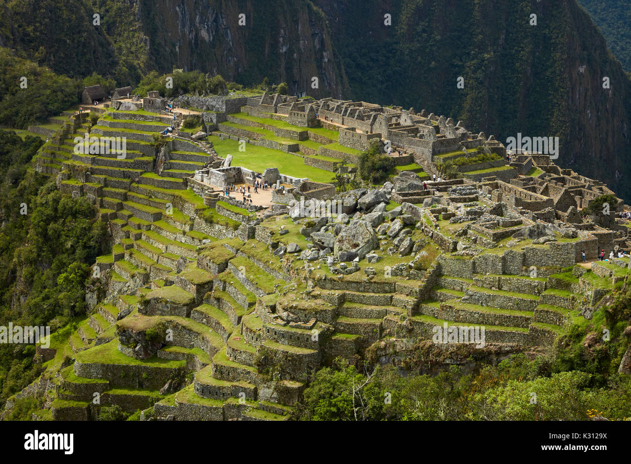 Landwirtschaftlichen Terrassen, Machu Picchu (Weltkulturerbe), das Heilige Tal, Peru, Südamerika Stockfoto