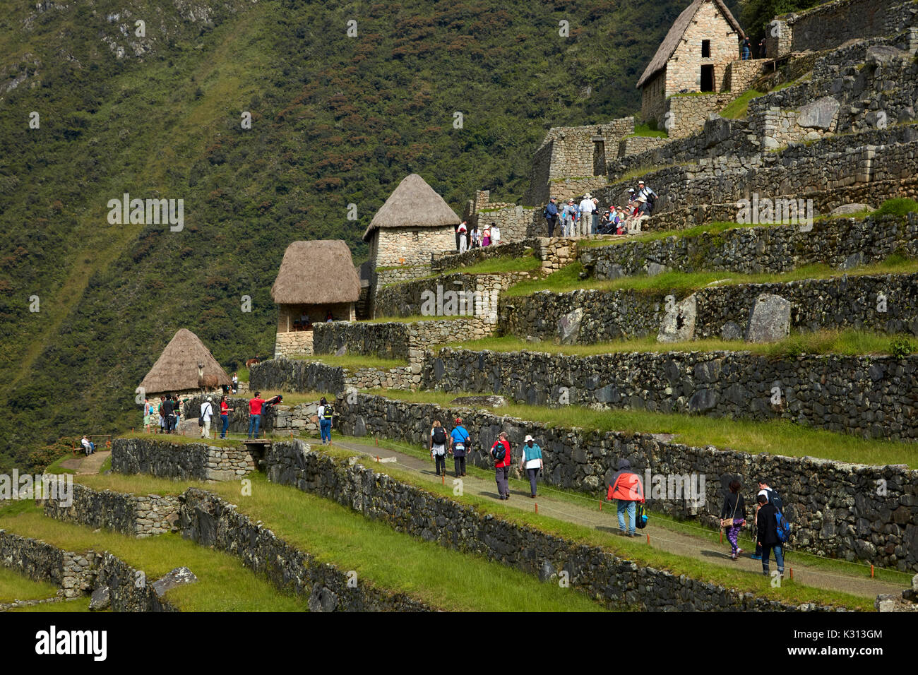 Touristen auf landwirtschaftlichen Terrassen, Machu Picchu (Weltkulturerbe), das Heilige Tal, Peru, Südamerika Stockfoto