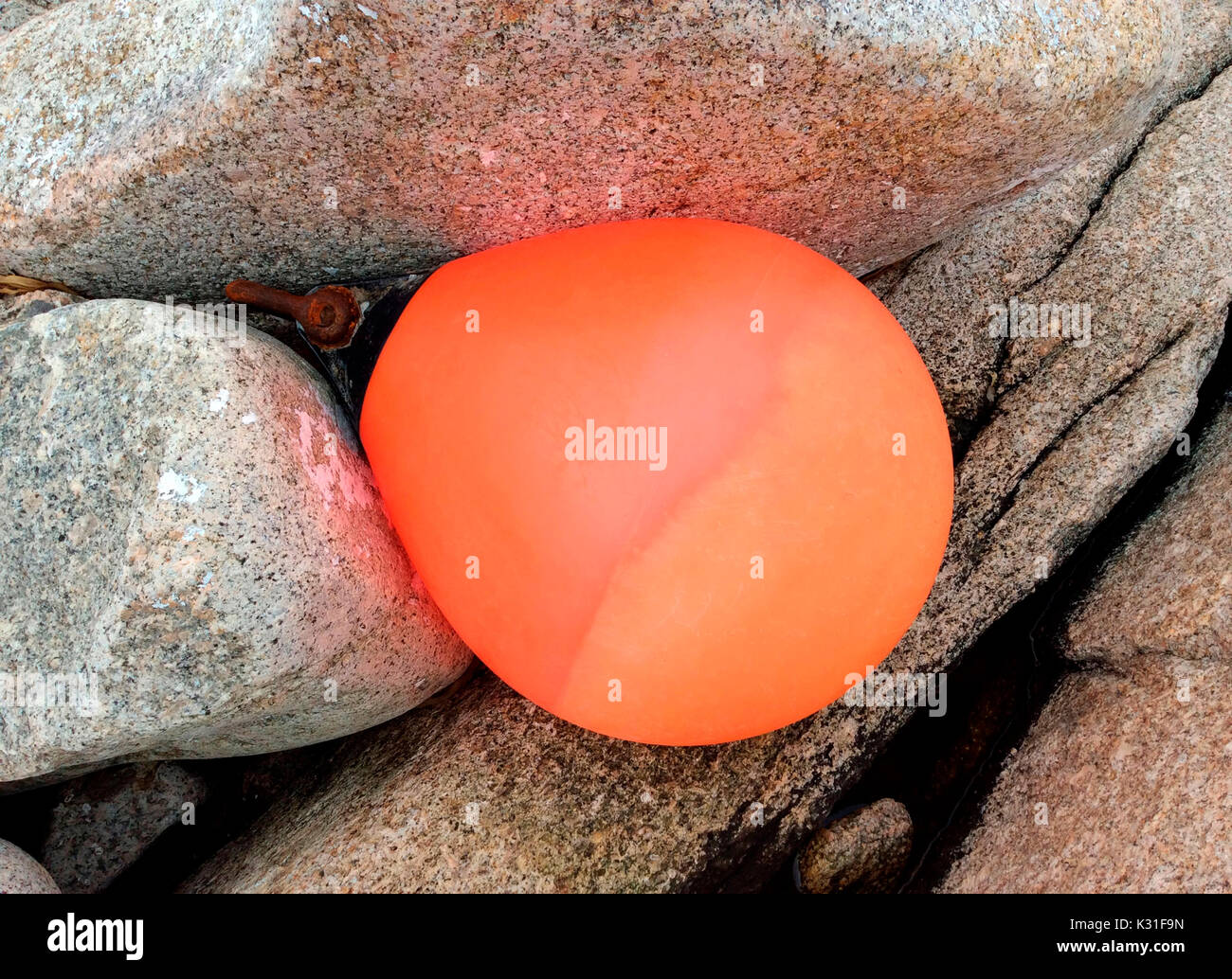 Eine streunende orange Boje inmitten der Felsen an einem Strand, Halifax, Nova Scotia, Kanada gefangen Stockfoto