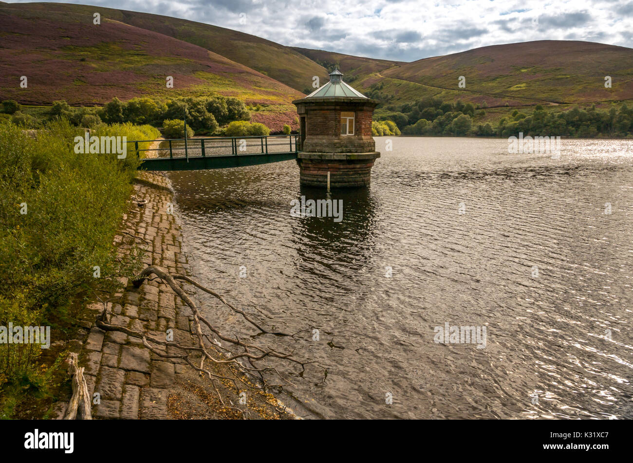 Am Turm in der Hoffnung Reservoir, in der Lammermuir Hills East Lothian, Schottland Großbritannien mit lila Heidekraut bewachsenen Hang Stockfoto