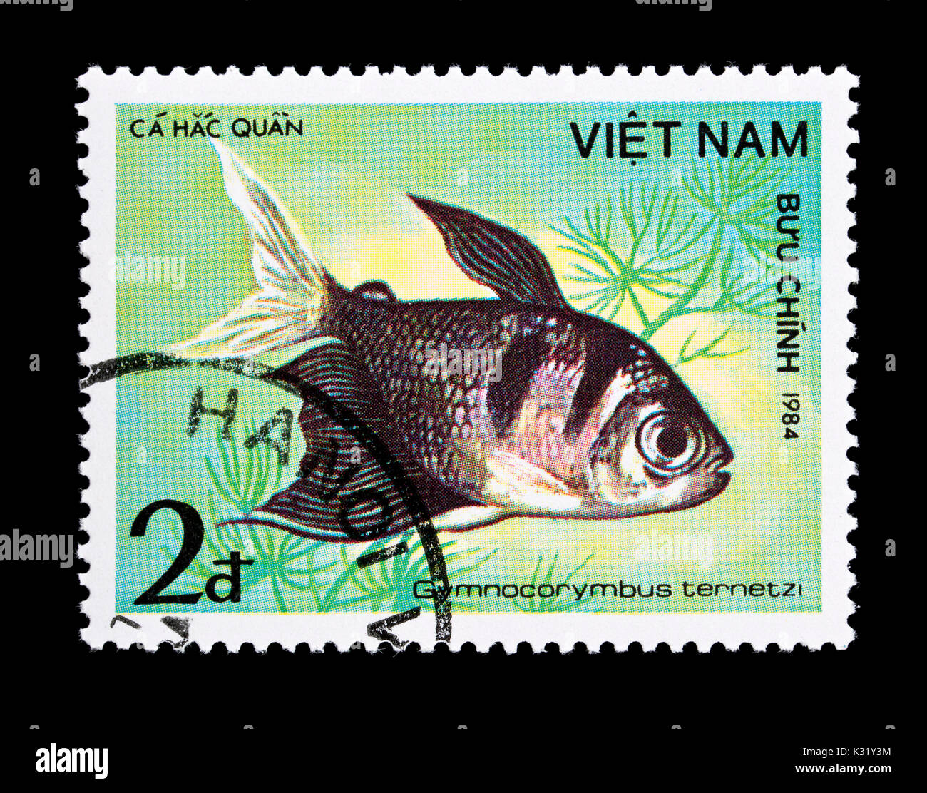 Briefmarke aus Vietnam, ein schwarzer Tetra (Gymnocorymbus ternetzi) Stockfoto